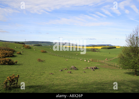 View up Wensleydale from Finghall near Leyburn North Yorkshire Stock Photo