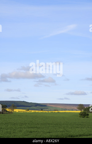 View up Wensleydale from Finghall near Leyburn North Yorkshire Stock Photo