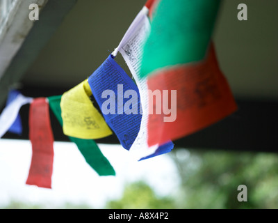 weathered police station sign with buddist Tibetian peace flags hanging up underneath blowing freely in the wind Stock Photo