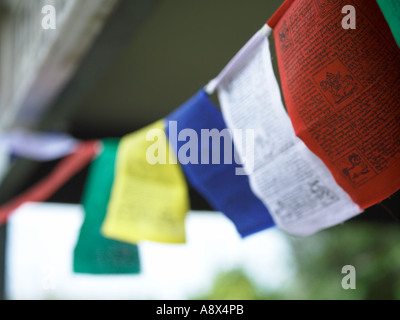 sign with buddist Tibetian peace flags hanging up Stock Photo