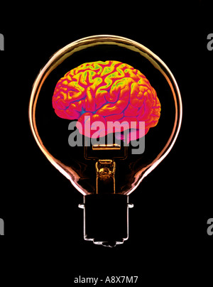 HUMAN BRAIN INSIDE GLASS ELECTRIC LIGHT BULB Stock Photo