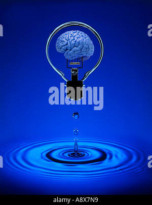 HUMAN BRAIN INSIDE GLASS ELECTRIC LIGHT BULB FLOATING ABOVE POOL OF BLUE WATER WITH RIPPLES Stock Photo