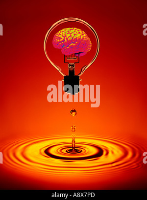 HUMAN BRAIN INSIDE GLASS ELECTRIC LIGHT BULB FLOATING ABOVE POOL OF AMBER WATER WITH RIPPLES Stock Photo