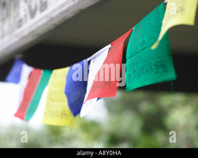 weathered police staiton sign with Buddhist Tibet peace flags hanging up underneath eves Stock Photo