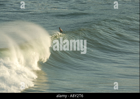 Surfing at Lighthouse Kohala Hawaii Stock Photo