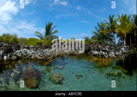 The Queens Bath at the Makalawena beach area The Big Island of Hawaii ...