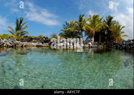 The Queens Bath at the Makalawena beach area The Big Island of Hawaii ...