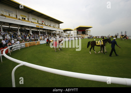 Inspection of horses prior to a race on the Jebel Ali Race Course. Stock Photo