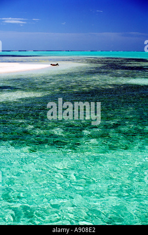 Sunbathing on a sand spit on Owen Islands by the lagoon Little Cayman Cayman Islands British West Indies Stock Photo