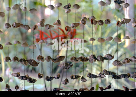 010 1997 Double Island Queensland Australia shell wind chime Stock Photo