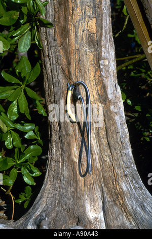 010 1997 Double Island Queensland Australia Outdoor shower Stock Photo