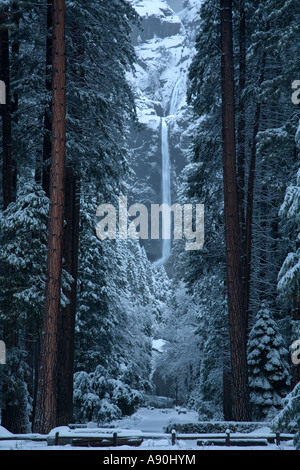 Lower Yosemite Falls in winter snow with tall pine trees Stock Photo