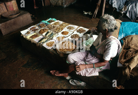 India Goa Panaji food Panjim Market fish stall Stock Photo