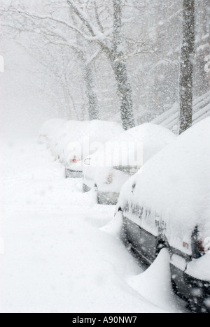 Cars Buried after Snowstorm in New York City, February 2006 Stock Photo