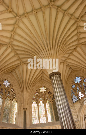 England Somerset Wells Cathedral Chapter House medieval vaulted ceiling worlds first Stock Photo