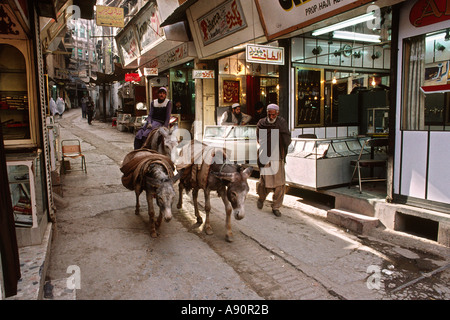 Pakistan NWFP Peshawar Old City Andar Shehr Bazaar man with donkeys Stock Photo