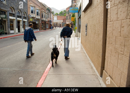 Man walking dog with cat on its back, Main Street, Bisbee, Arizona, USA. Stock Photo