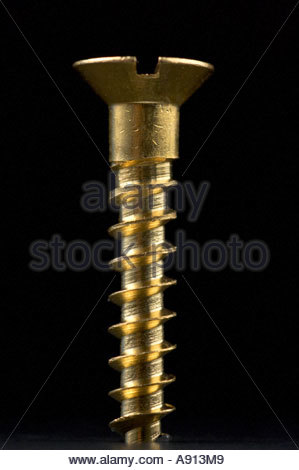 A Brass screw Stock Photo