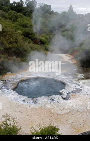 Cooking Pool in Maori Ngararatuatara Te Puia Thermal Reserve Whakarewarewatanga Thermal Valley Rotorua New Zealand Stock Photo