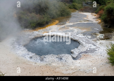 Cooking Pool in Maori Ngararatuatara Te Puia Thermal Reserve Whakarewarewatanga Thermal Valley Rotorua New Zealand Stock Photo