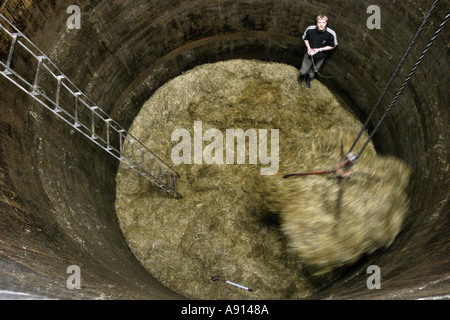 Hay silo interior Stock Photo