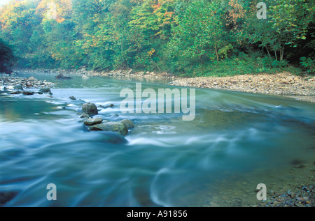 Fall colors along the Middle Fork of the Vermilion River a National Scenic River Kickapoo State Park Illinois Stock Photo