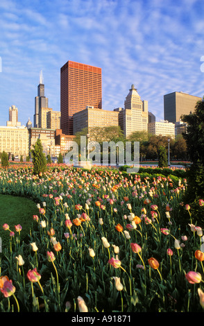 Illinois, Chicago, Skyline From Grant Park Stock Photo - Alamy