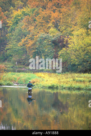 Fly Fishing in Illinois