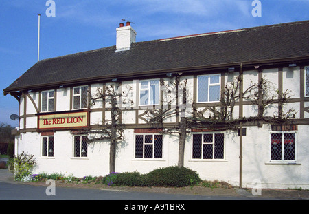 The Red Lion, Staitheley (near Harrogate), North Yorkshire, England Stock Photo