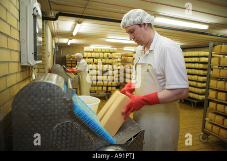The maturity cellar of the cheese dairy Stock Photo