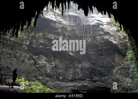 Puerto Rico, Rio Camuy Caves, subterranean river, cutting canyons and caves through limestones. Stock Photo