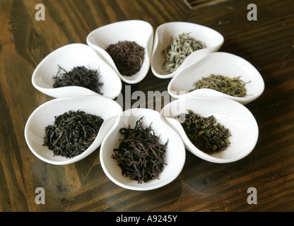 A selection of teas in a upmarket tea shop in London Stock Photo