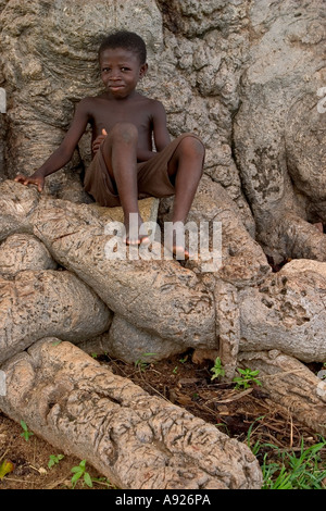 Young boy sitting on large roots of baobab tree Stock Photo