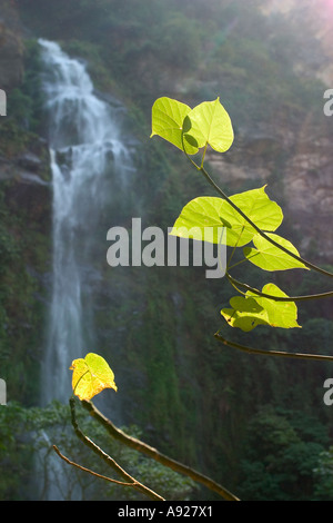 Wli Vlee Falls Volta Region Ghana West Africa Highest waterfalls in West Africa Stock Photo
