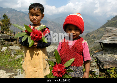 Two cute kids with Rhododendron flowers Landruk near Pokhara Nepal Stock Photo