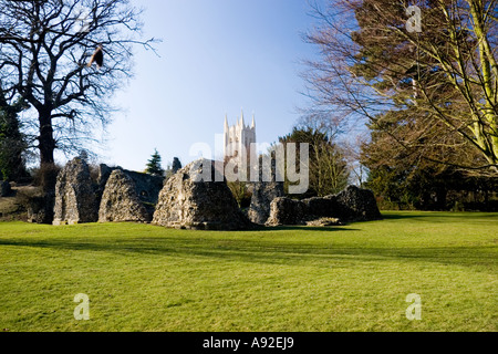 Lantern tower of St Edmundsbury Cathedral with the ruins of the Norman Abbey in the foreground Bury St Edmunds Suffolk UK Stock Photo