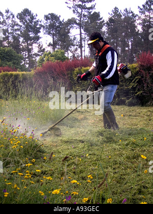 Brush Cutter operator trimming Grass Stock Photo - Alamy