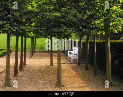 Hornbeams Trees and Garden bench white on gravel open space in formal garden with dappled sun, Hornbeam standard trained trees in perfect symmetry Stock Photo