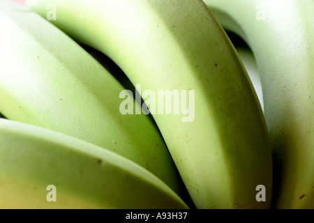 unripe bananas Stock Photo