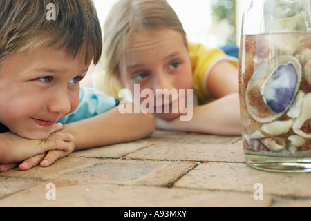 Boy and girl (7-9) looking at shells in jar, close-up Stock Photo