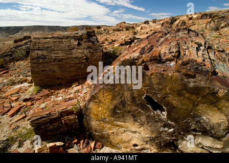 Petrified Forest, Monumento Nacional Bosques Petrificados, Patagonia, Province of Santa Cruz, Argentina Stock Photo