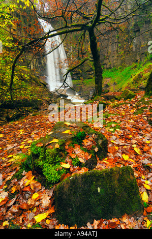 Autumn at Melincourt Falls near Neath in Glamorgan, South Wales. Stock Photo