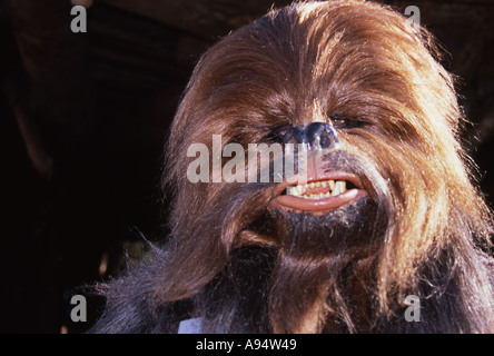 Head shot of actor in Star Wars Wookie Chew Baka costume at MGM studios in Florida Stock Photo