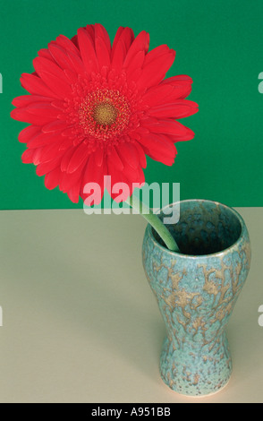 Red Gerbera flower in a green vase Stock Photo