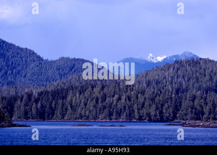 A Temperate Rainforest along the Pacific West Coast of Vancouver Island at Clayoquot Sound, British Columbia, Canada Stock Photo