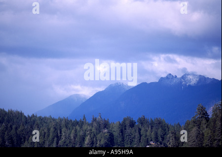 A Temperate Rainforest along the Pacific West Coast of Vancouver Island at Clayoquot Sound British Columbia Canada Stock Photo