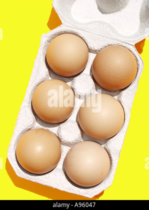 Eggs Stock Photo