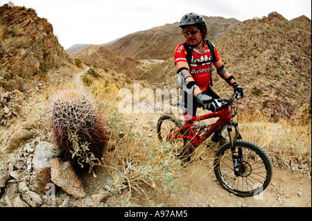 Mountain biker looking at a large cactus on a narrow mountain trail near Phoenix Arizona. Stock Photo