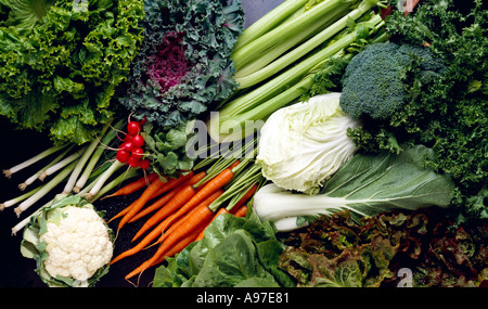 Agriculture Romaine Green Leaf and Red Leaf lettuces carrots radishes cauliflower Napa cabbage green onions broccoli kale endive Stock Photo