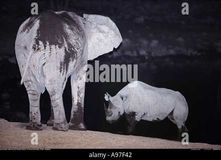 Elephant and rhino beside waterhole at night Etosha National Park Namibia Stock Photo